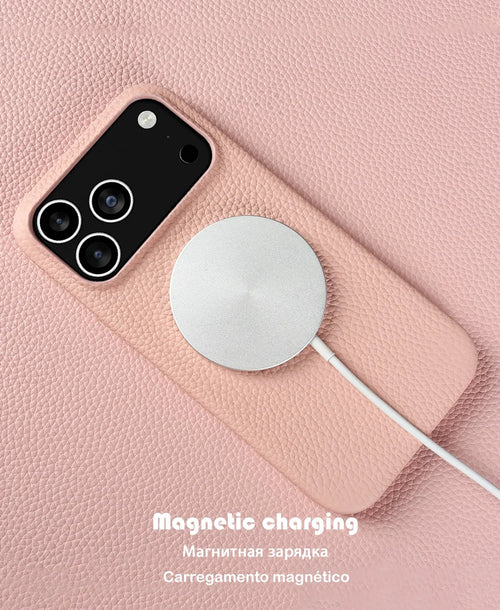 Luxury Magnetic Genuine Leather Case for Iphone 17 Pro Max 16 15 14 13 12 11 for Magsafe Full Covered Phone Cases Back Cover